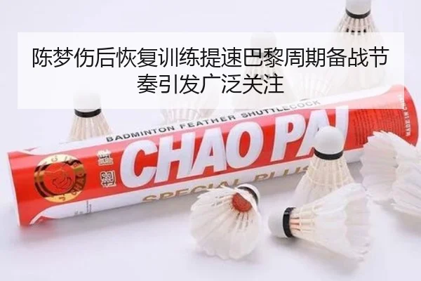 陈梦伤后恢复训练提速巴黎周期备战节奏引发广泛关注