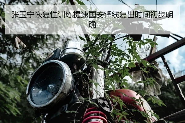 张玉宁恢复性训练提速国安锋线复出时间初步明确